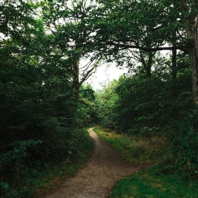 Lorem Ipsum hdas been  (1)